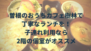 川西阪急のおやさいガーデンティエラで子連れランチ 食後は屋上広場で遊ぼう ひとつだけブログ